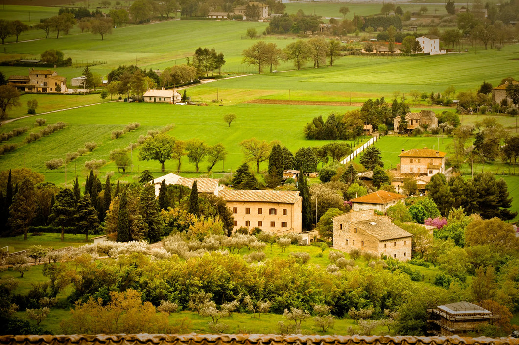 Italian Countryside: Tapestry of Tranquility Giclee / Colored / 8 x 10 Tracy McCrackin Photography Wall art - Tracy McCrackin Photography