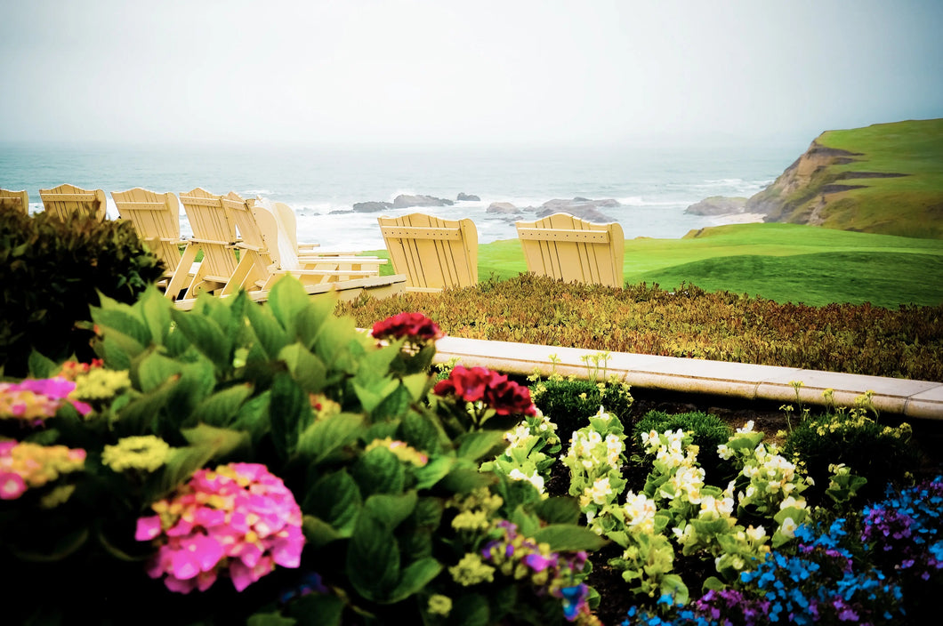 Serene Coastal Bliss: Gardens of Color and Ocean's Embrace Tracy McCrackin Photography Wall art - Tracy McCrackin Photography