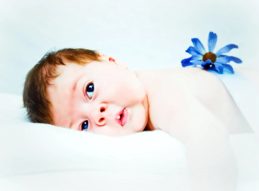 baby-boy-blue-flower Giclee / Colored / 5 x 7 Tracy McCrackin Photography - Tracy McCrackin Photography