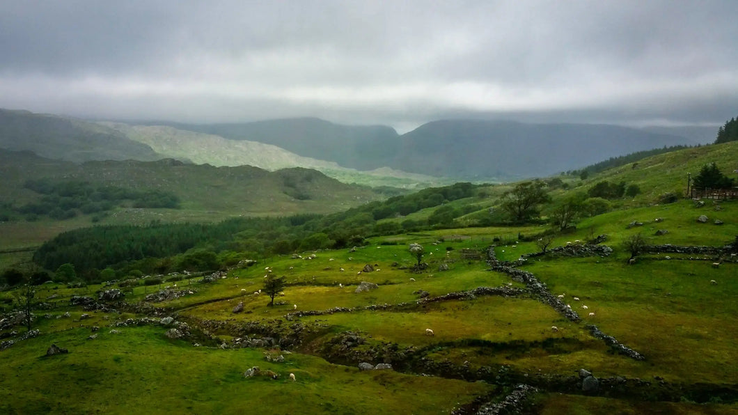 Misty Emerald Serenity: Irish Countryside Giclee / Colored / 8 x 10 Tracy McCrackin Photography Wall art - Tracy McCrackin Photography