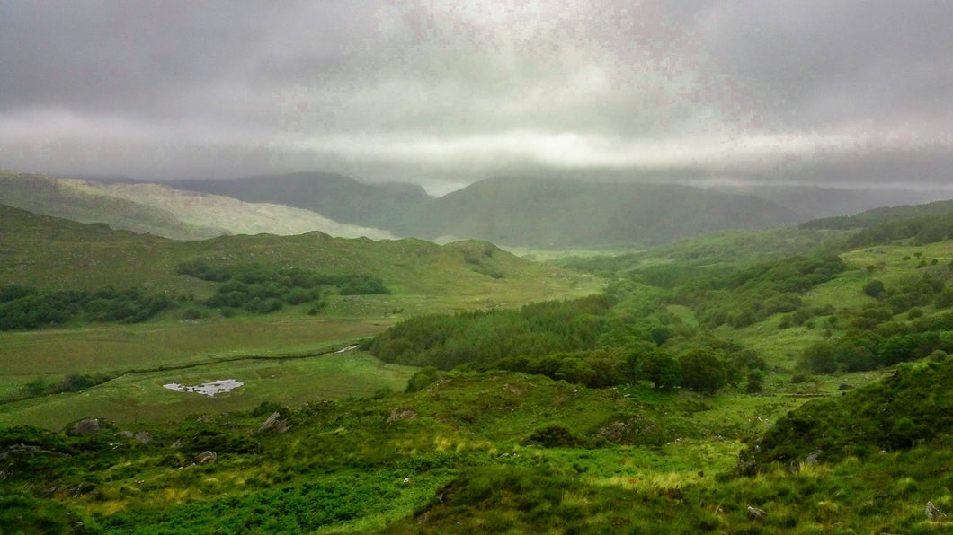 morning-fog-along-irish-countryside Giclee / Colored / 5 x 7 Tracy McCrackin Photography Gicl‚e - Tracy McCrackin Photography