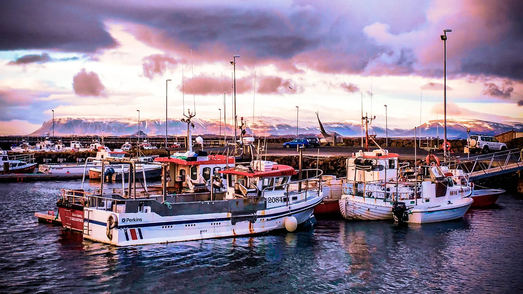 Ruby Horizon: Icelandic Harbor at Sunset Giclee / Colored / 8 x 10 Tracy McCrackin Photography Wall art - Tracy McCrackin Photography