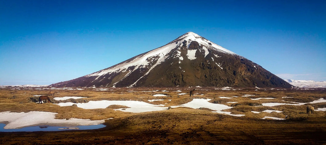 Spring in Iceland: Wild Horses and Snowcapped Volcano Giclee / Colored / 8 x 10 Tracy McCrackin Photography Wall art - Tracy McCrackin Photography