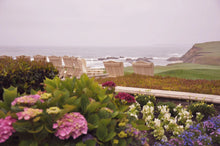 Load image into Gallery viewer, Serene Coastal Bliss: Gardens of Color and Ocean&#39;s Embrace Tracy McCrackin Photography Wall art - Tracy McCrackin Photography