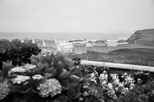 Serene Coastal Bliss: Gardens of Color and Ocean's Embrace Tracy McCrackin Photography Wall art - Tracy McCrackin Photography