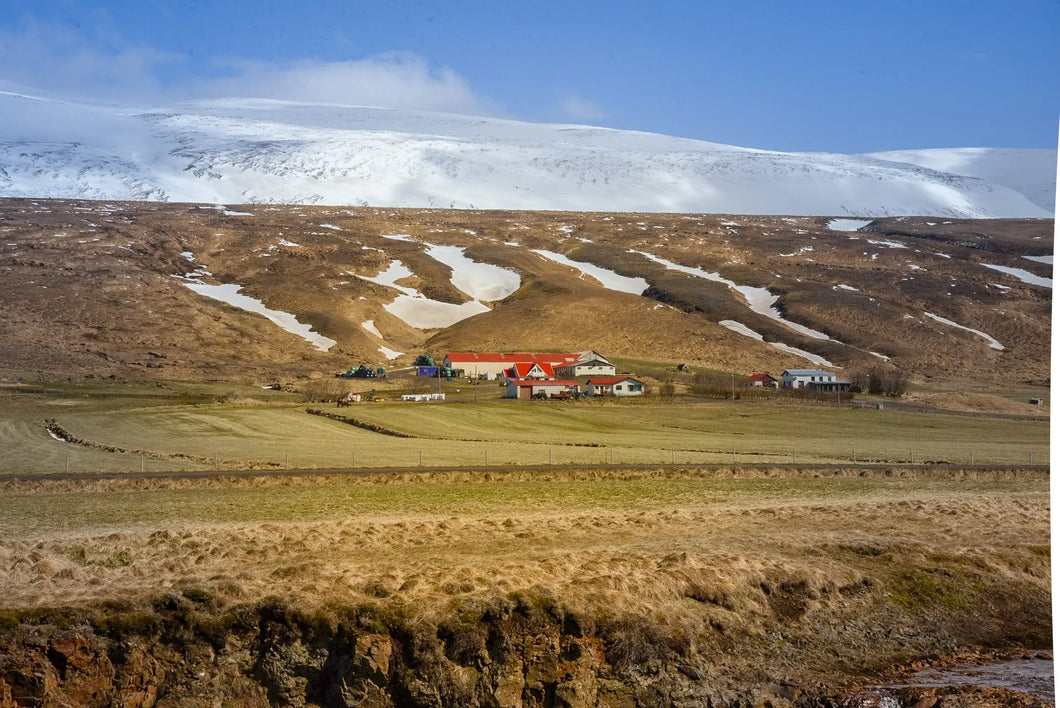 Tranquil Iceland: Capturing the Essence of Rural Harmony Giclee / Colored / 5 x 7 Tracy McCrackin Photography Wall art - Tracy McCrackin Photography