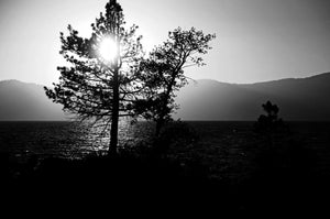 Heavenly Hues: Lake Tahoe's Sunset Majesty Giclee / B&W / 8 x 10 Tracy McCrackin Photography Wall art - Tracy McCrackin Photography